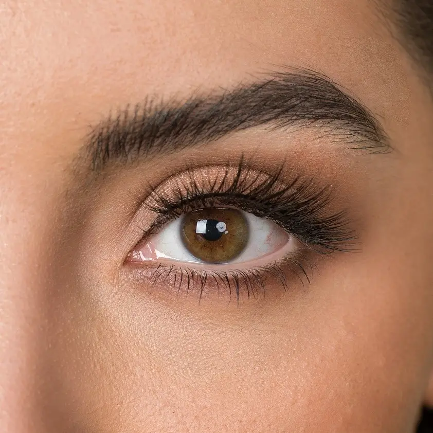 silk lashes